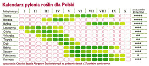 Kalendarz pylenia roślin dla Polski
